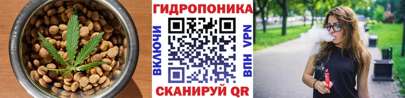 Canna-Cookies марихуана  Купить где  Западная Двина 