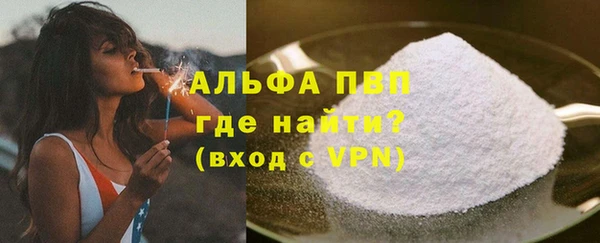 прущие грибы Лабытнанги