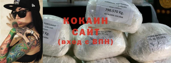 твердый Лагань