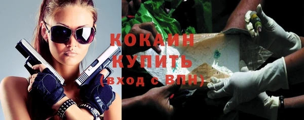 прущие грибы Лабытнанги