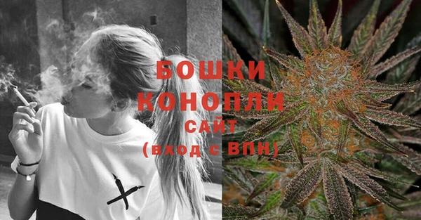 прущие грибы Лабытнанги