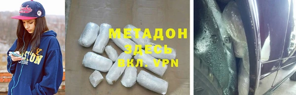 прущие грибы Лабытнанги
