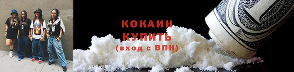 прущие грибы Лабытнанги