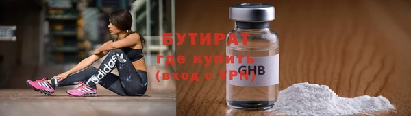 прущие грибы Лабытнанги