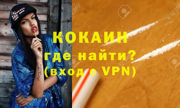 прущие грибы Лабытнанги