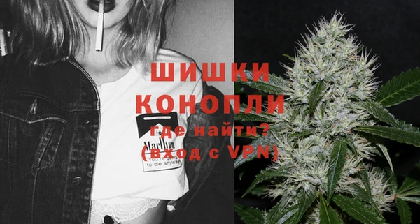 твердый Лагань
