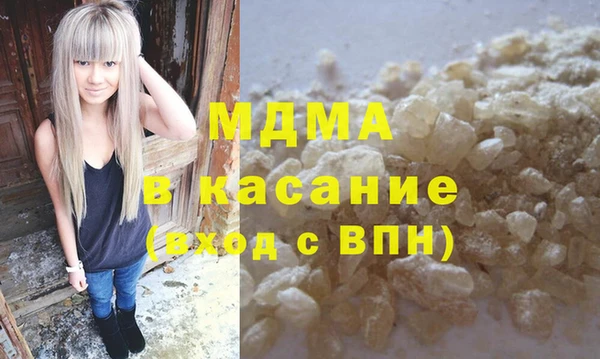 прущие грибы Лабытнанги