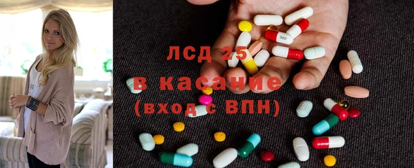 твердый Лагань