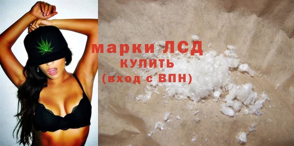 прущие грибы Лабытнанги
