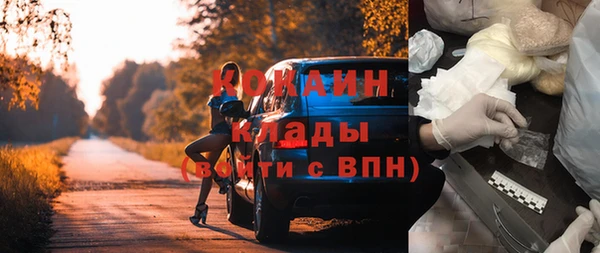твердый Лагань