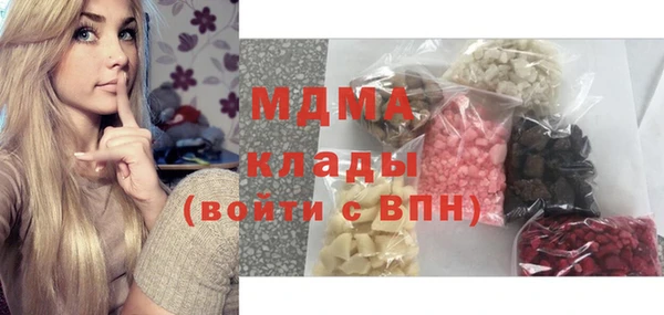 прущие грибы Лабытнанги
