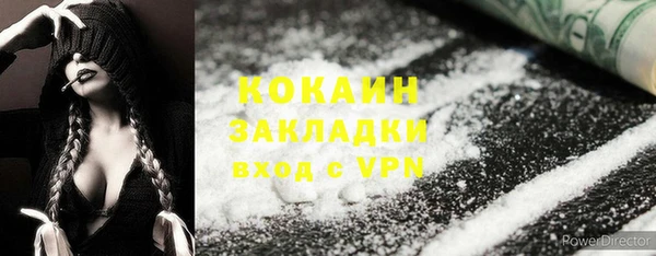 прущие грибы Лабытнанги