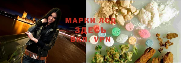 прущие грибы Лабытнанги