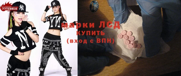 прущие грибы Лабытнанги