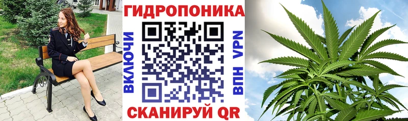 Конопля Ganja Западная Двина