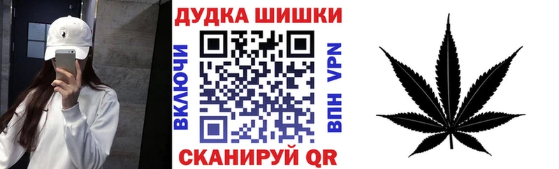 Купить закладки  Западная Двина  Шишки марихуана THC 21% 